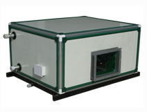 BFP���ʽ���L�C�M